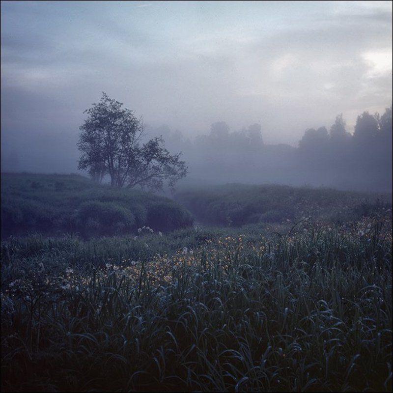 Утренняя летняя слайдовая картинка с травой и деревьями на повороте речки в Середниковоphoto preview