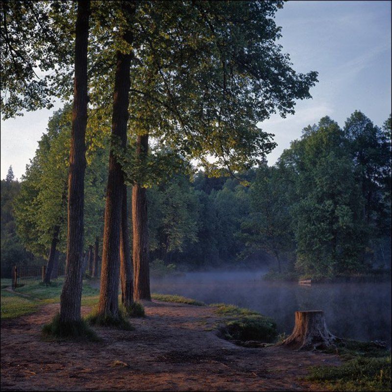 Утренняя слайдовая картинка с видом на пень у середниковского пруда с западаphoto preview