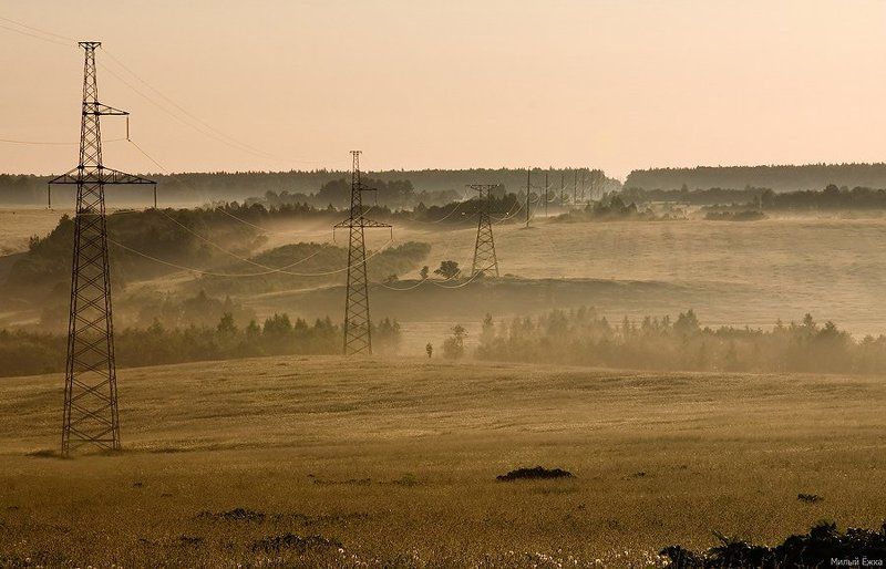 день очистки водоемов, туман Туманная даль...photo preview