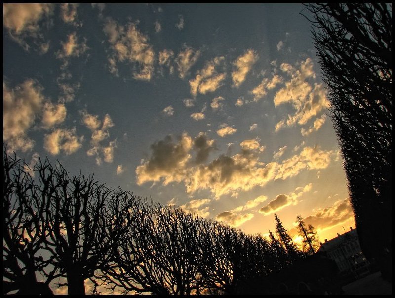 Екатерининский парк. Аллея на закатеphoto preview