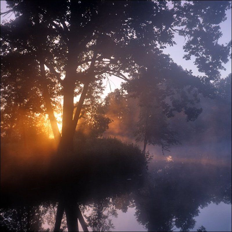 Утренняя рассветная слайдовая картинка с солнцем сквозь туман над прудом в Середниковоphoto preview
