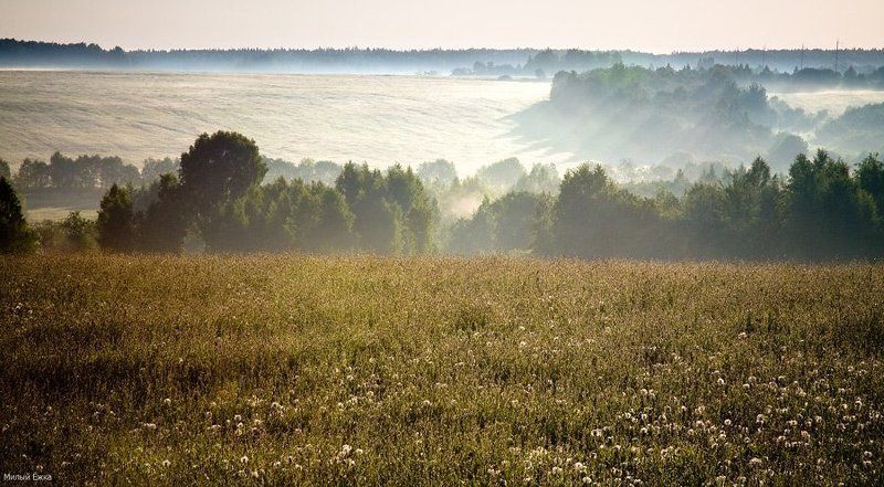 день очистки водоемов, туман, лес Светает...туман...photo preview