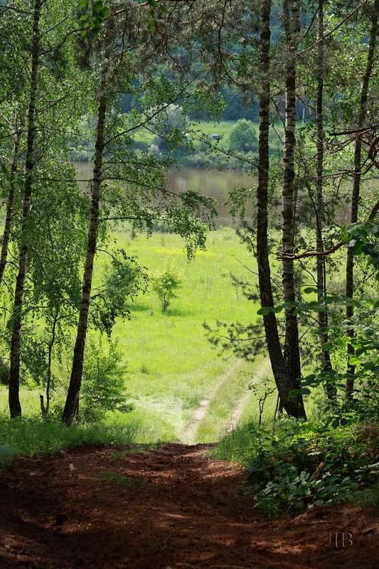 Березовый спуск фото превью