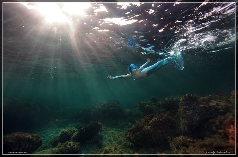mermaid, русалка, афродита, aphrodite, underwater, nudes, &, fashion, anatoly, beloshchin Тне Mermaid (Русалка.  Подводное фото)photo preview
