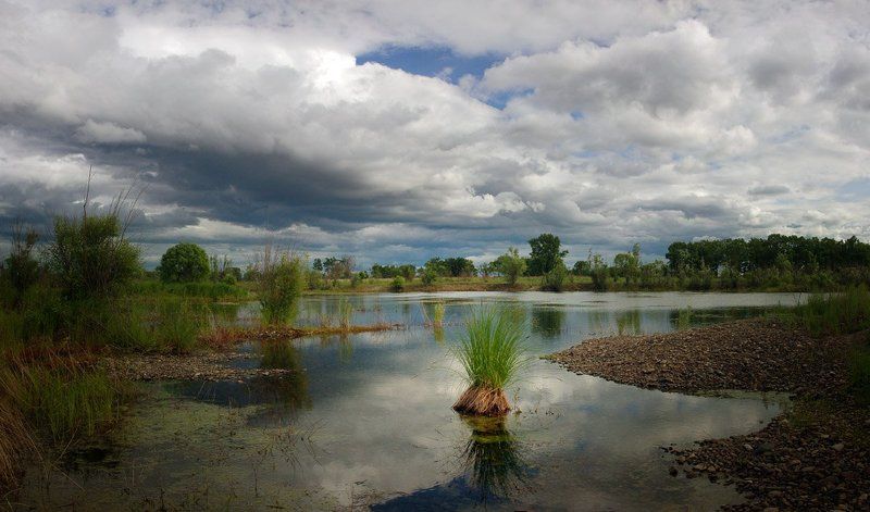 я мечтала о морях и кораллах...photo preview