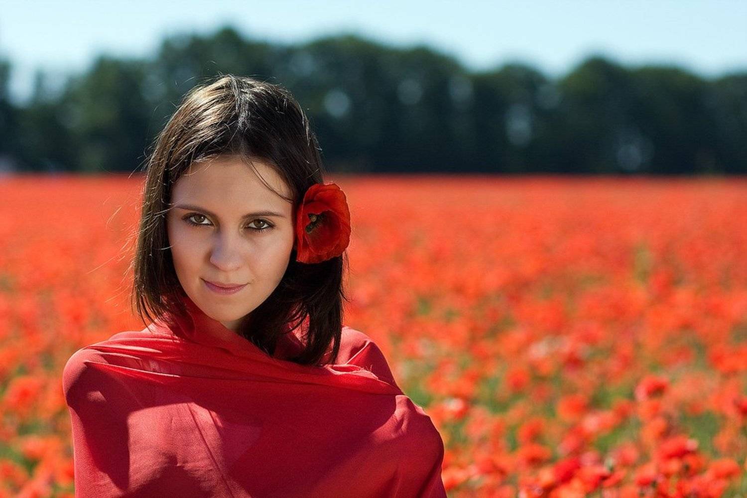 портрет, маки, природа, Владимир