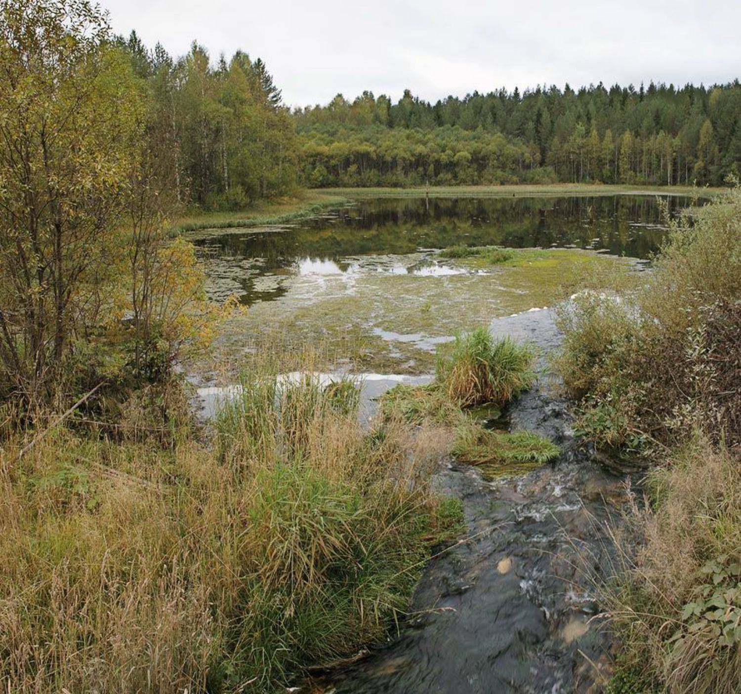 , Павел Дунюшкин