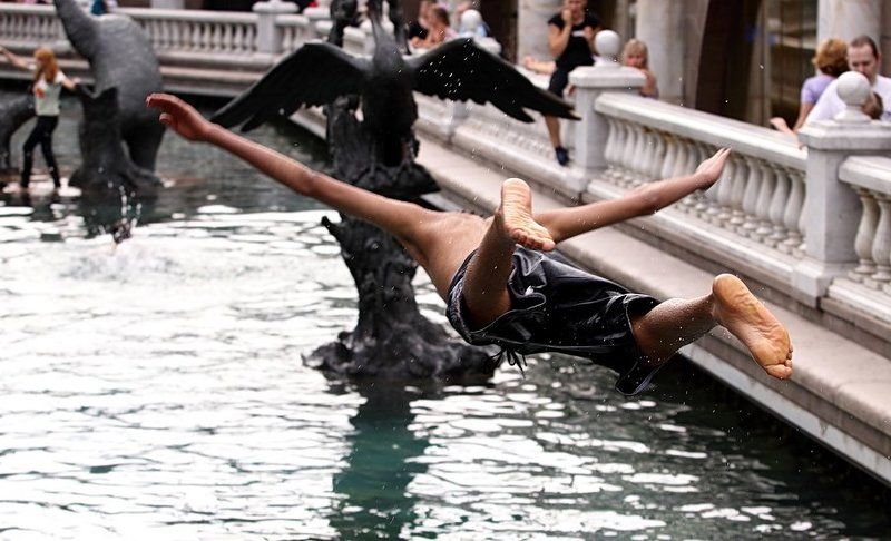 На встречу птице или когда в Москве жаркоphoto preview