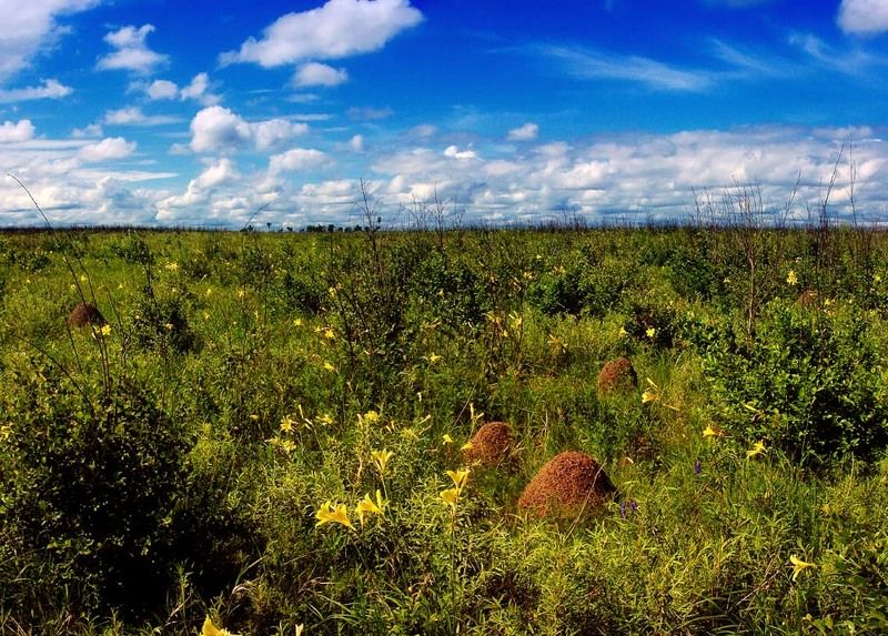 цивилизацияphoto preview