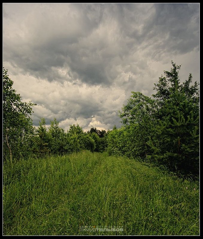 Тверские зарисовки...photo preview