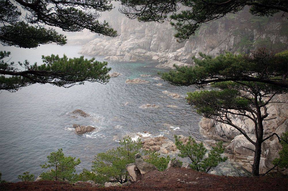 витязь, гамова, хасан, море, туман, Дмитрий Корнилов