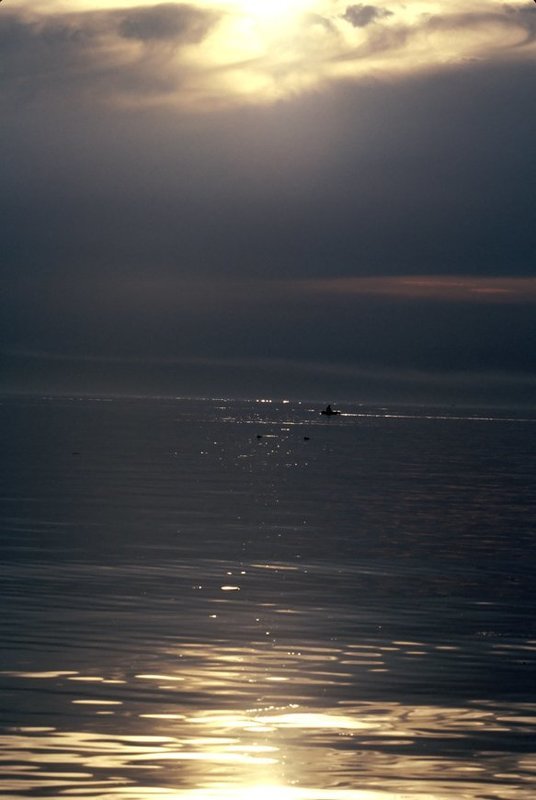 ,фотоплёнка,негатив, слайд Перед бурей.photo preview