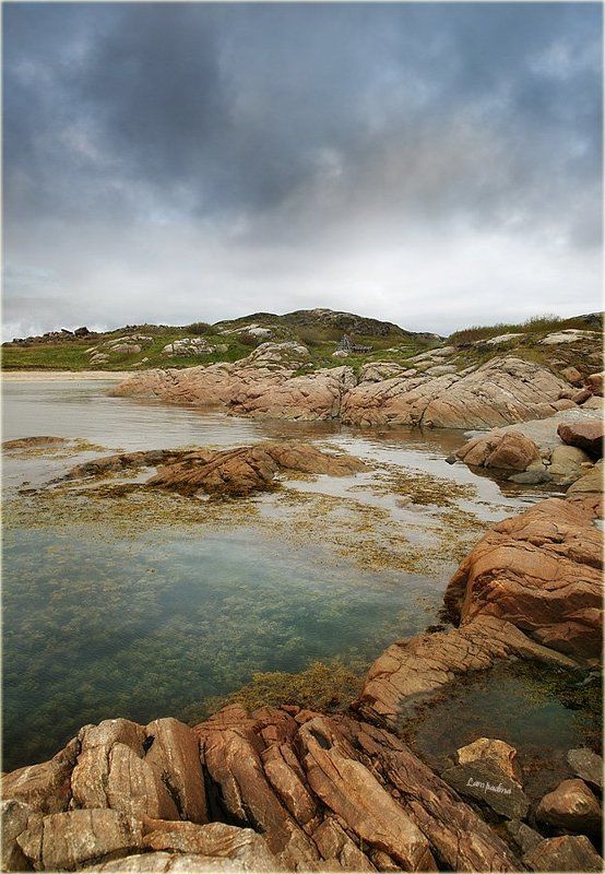 баренцево море, малая немецкая бухта, камни,водоросли, вода, июнь 2009 Солярис фото превью