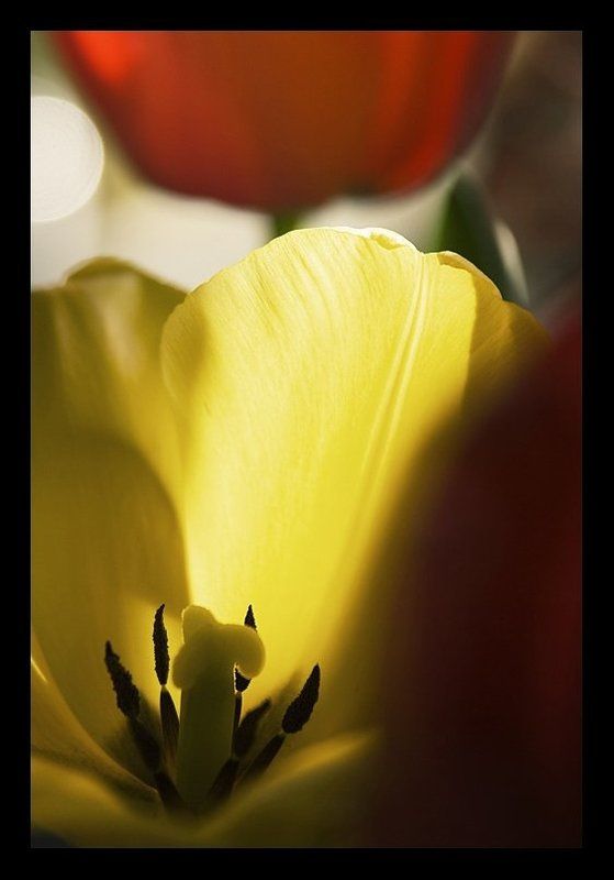 Вестник разлукиphoto preview