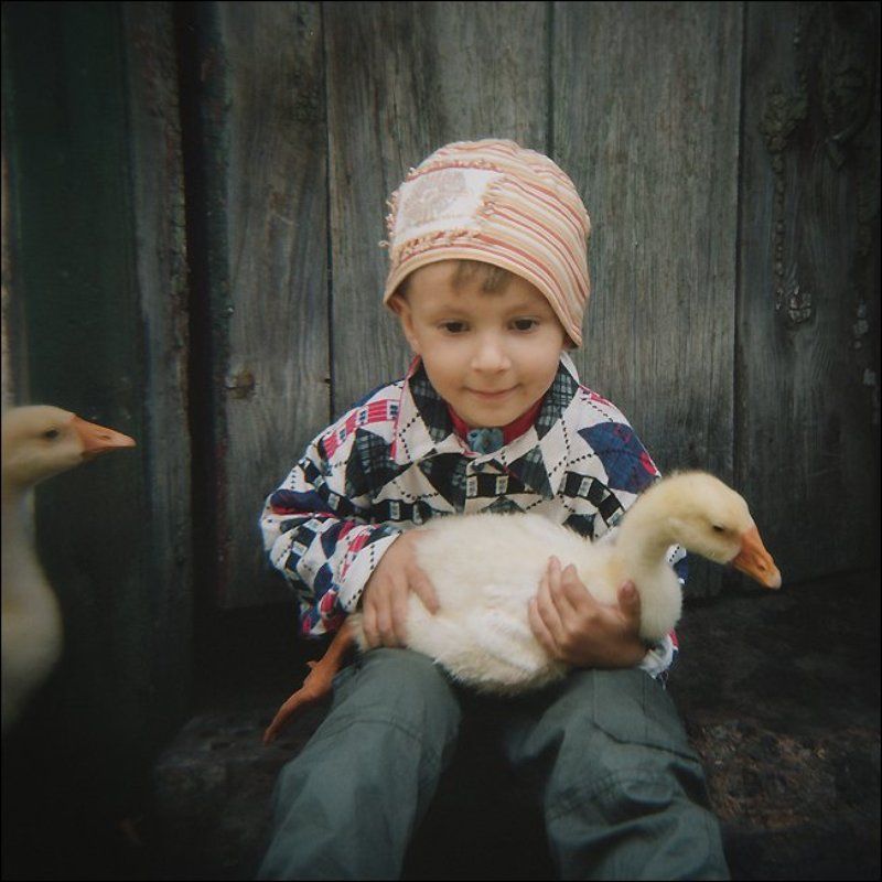 holga Нильс очень любил свою Акку...photo preview