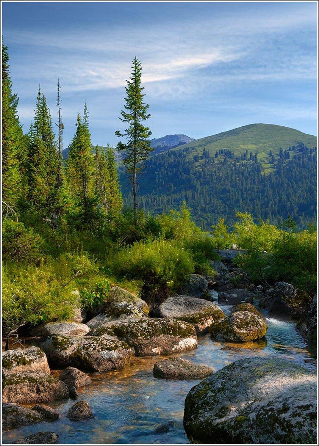 Приток ручья Тушканчик. Автор: Дмитрий Антипов ергаки, хребет, горы, саяны, сибирь, красноярский, край, туризм, путешествия, спорт, природа, ручей, речка, камни, тайга, сибирь, пейзаж, лето, Дмитрий Антипов