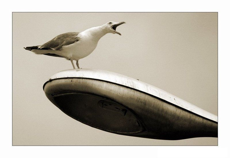 Кина не будет ... электричество кончилось ...photo preview