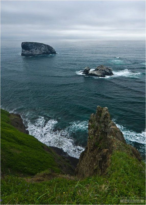 камчатка, тихий океан, остров птичий У острова Птичийphoto preview