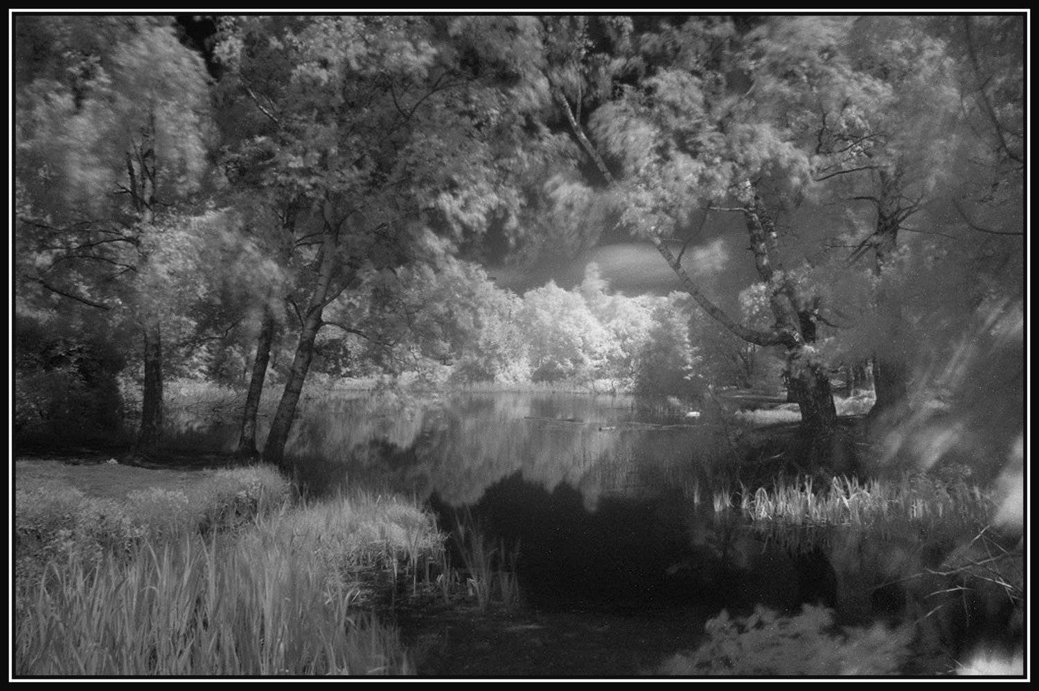 пруд, лето, Алексей