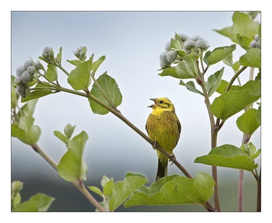 , Нарчук Андрей