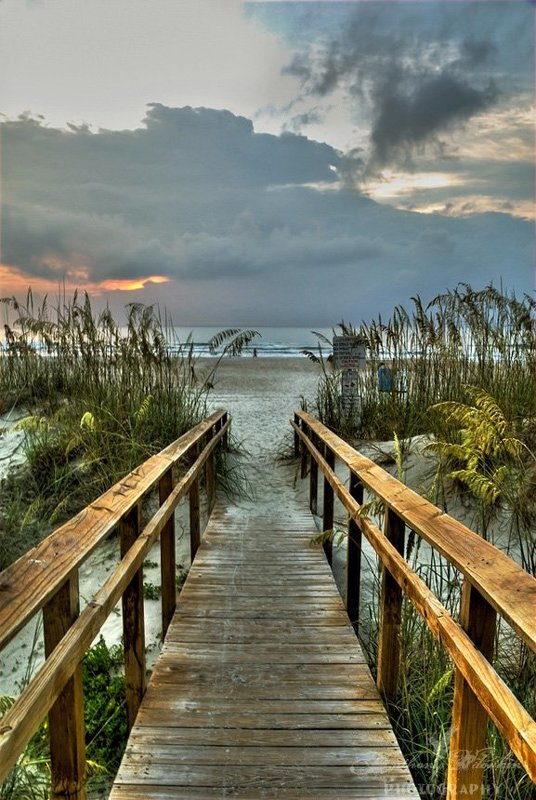 When The Beach Awakesphoto preview