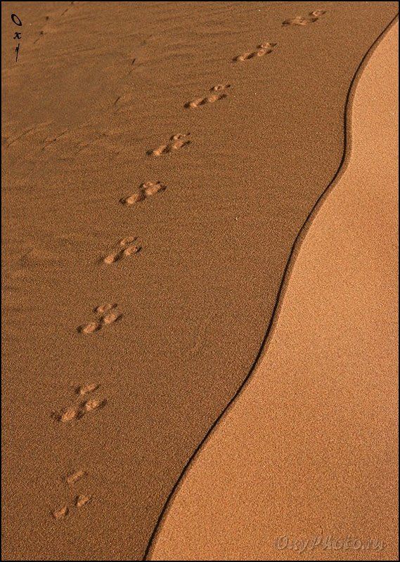 дюны, соссусвлеи, пустыня намиб, намибия, африка, dunes, sossusvlei, namib desert, namibia, africa Песчинка к песчинке...photo preview