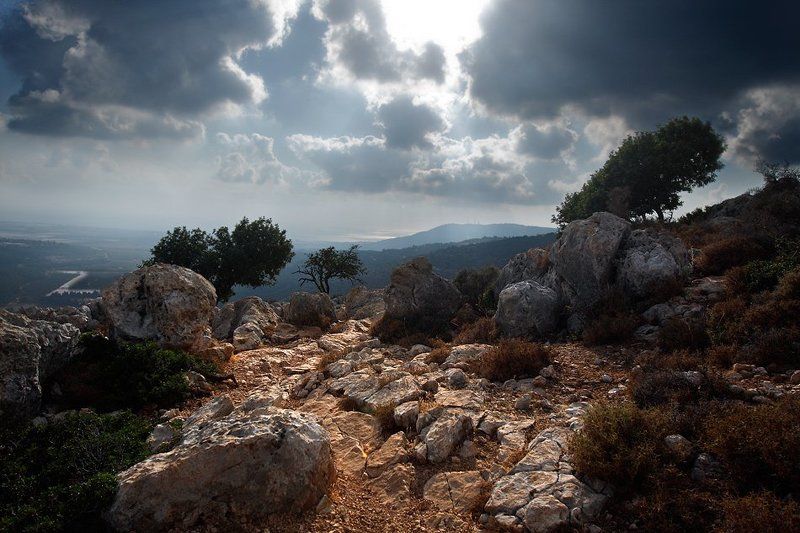 Cветлая дальphoto preview