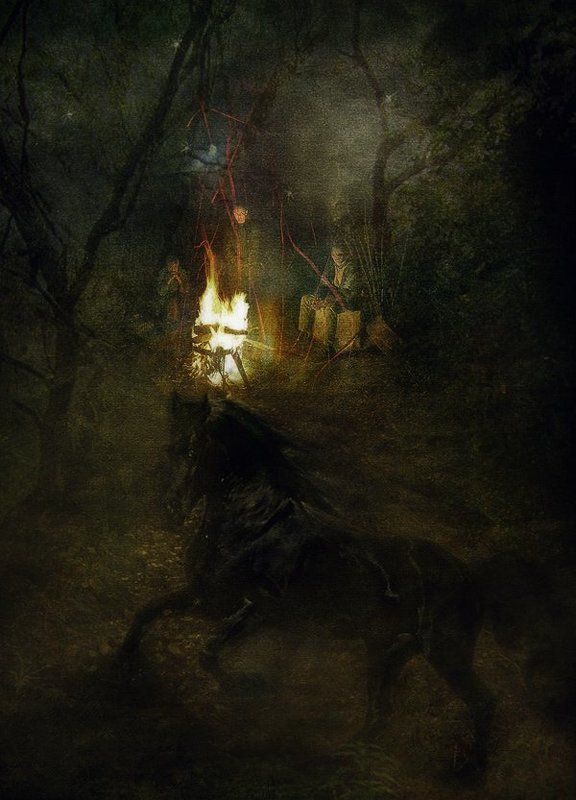 Черный коньphoto preview