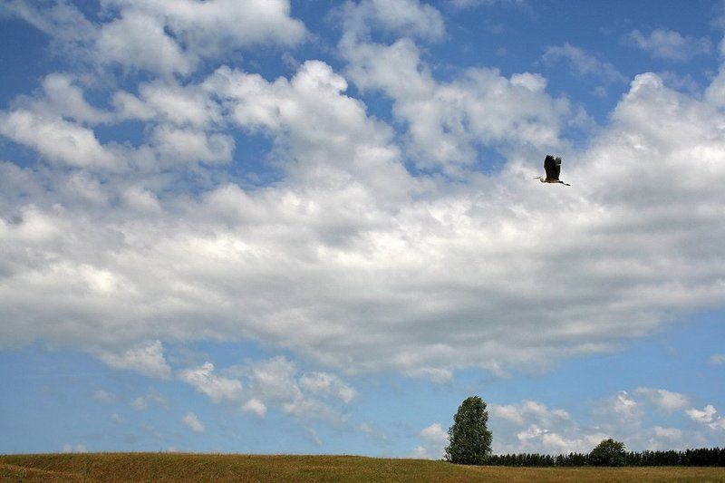 небо По небу-океануphoto preview