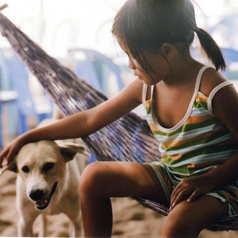 Вьетнамphoto preview