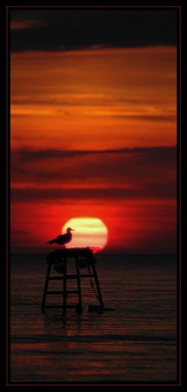 чайа, закат, море Наедине с солнцем... (Tet-a-tet (2))photo preview