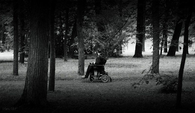 павловск, прогулка, одиночество, аллея Одинокая прогулкаphoto preview