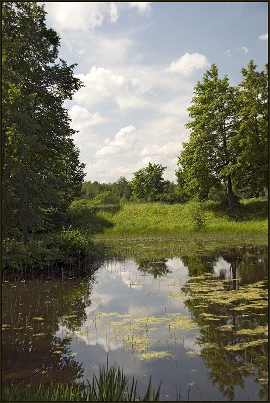 вода, деревья, евгений поздняков, красота, лес, лето, луговой парк, небо, облака, озеро, отражение, отражения, парк, пейзаж, петергоф, петродворец, природа, прогулка, путешествия, растения, река, тучи, флора Тишинаphoto preview