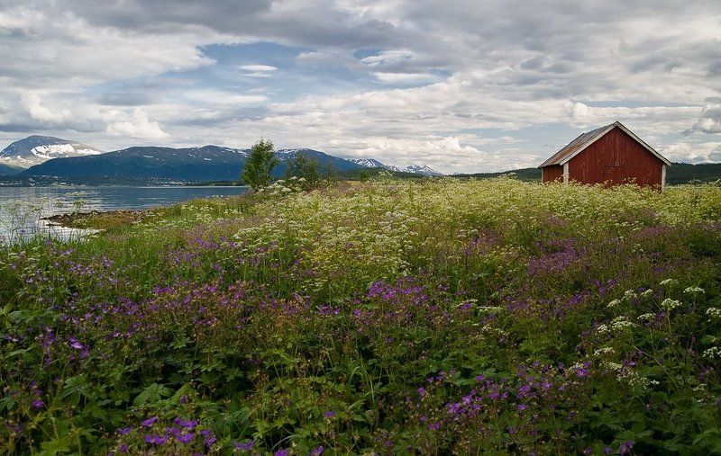 Жараphoto preview