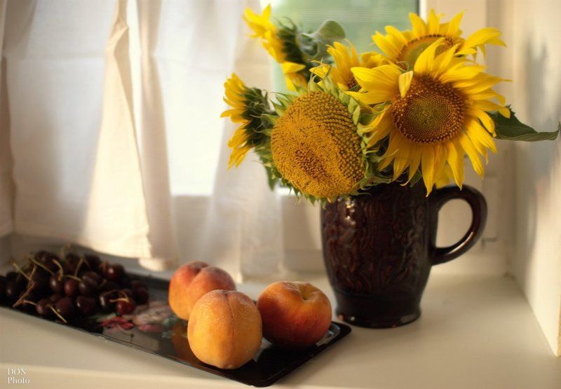 подсолнухи летние зарисовкиphoto preview