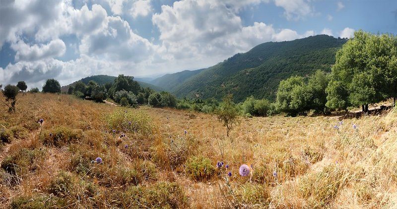 Мелодии летаphoto preview