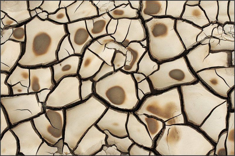 натуральный паттернphoto preview