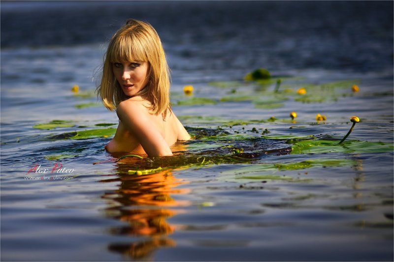 ундина,вода,девушка,лето,солнце Ундинаphoto preview