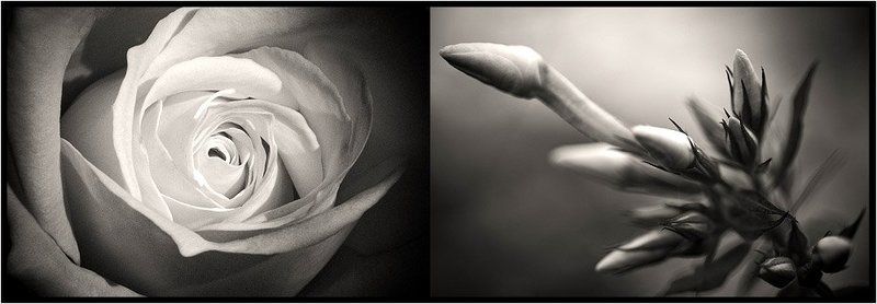 точки зрения. 3photo preview