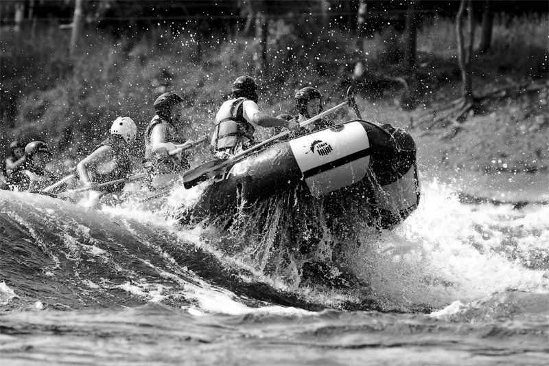 на гребне волныphoto preview