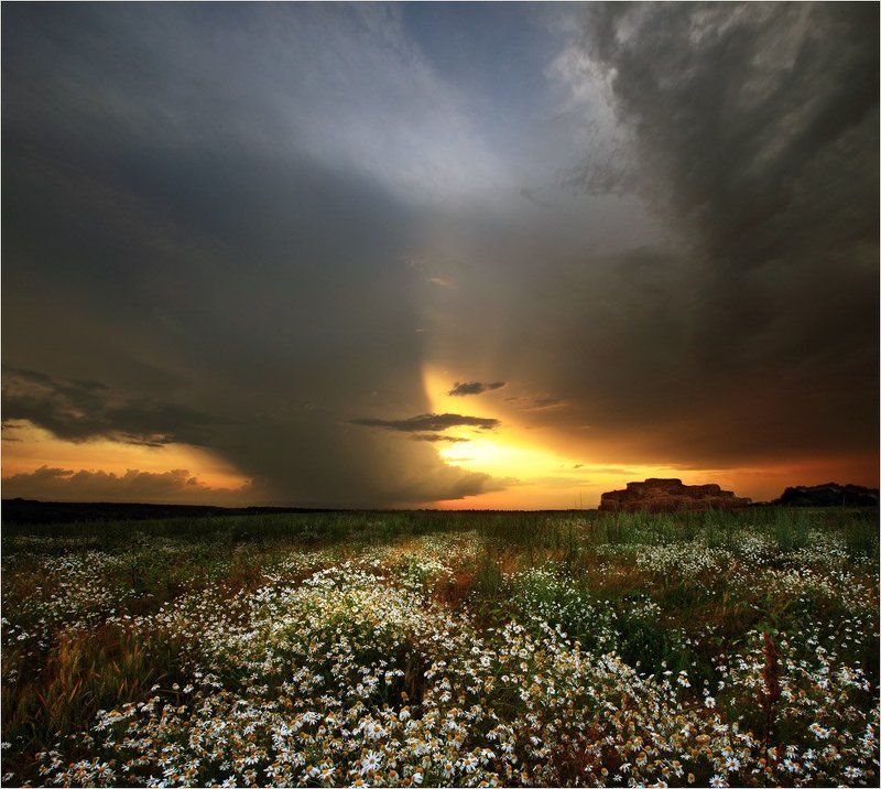 Перед грозойphoto preview