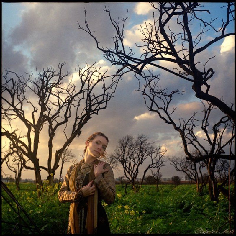 без названияphoto preview