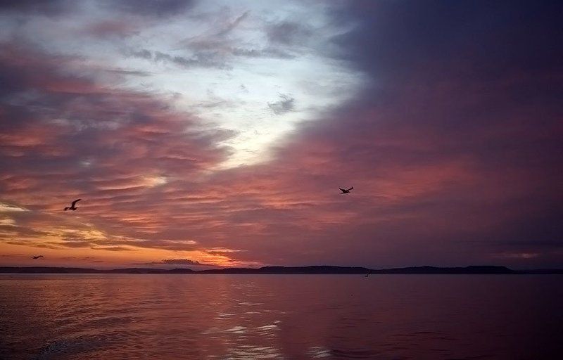 озеро, закат Вечер на Ладогеphoto preview