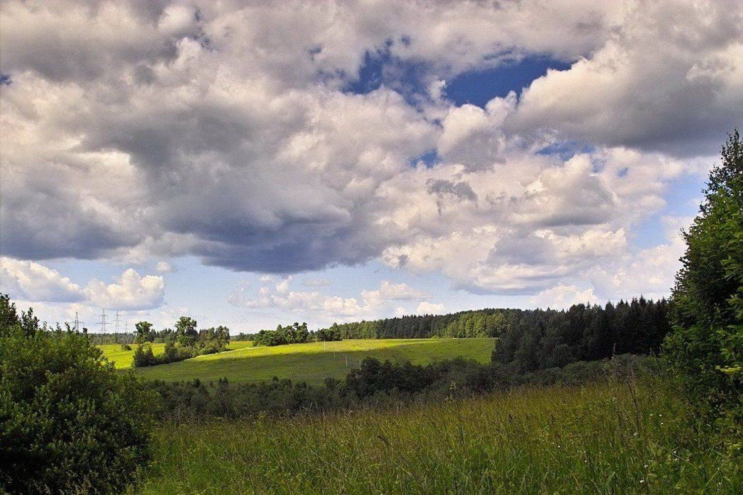 Симфония природы. Автор: Андрей Ерумов природа, симфония, Андрей Ерумов