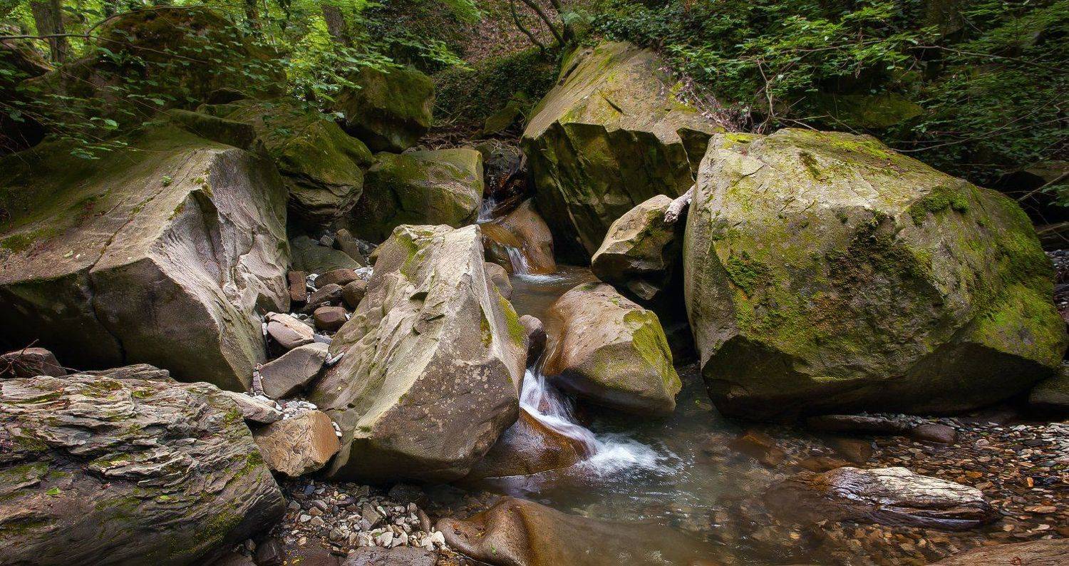 Автор: MiShanya , MiShanya