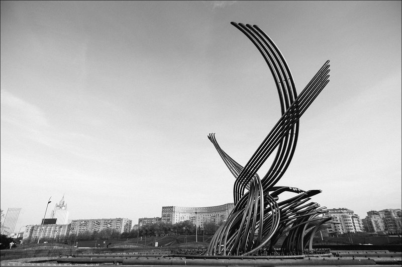 Архитектура, город, чб Щупальцаphoto preview