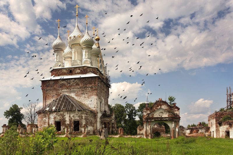 Вороньеphoto preview