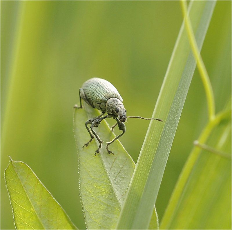 Ну и что...photo preview