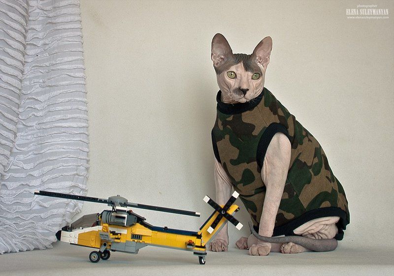 Юный десантник...)))photo preview