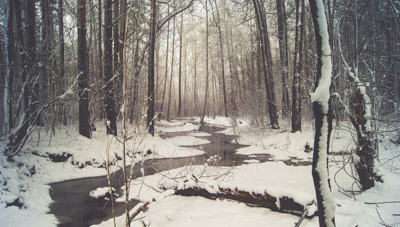 Удачный майphoto preview